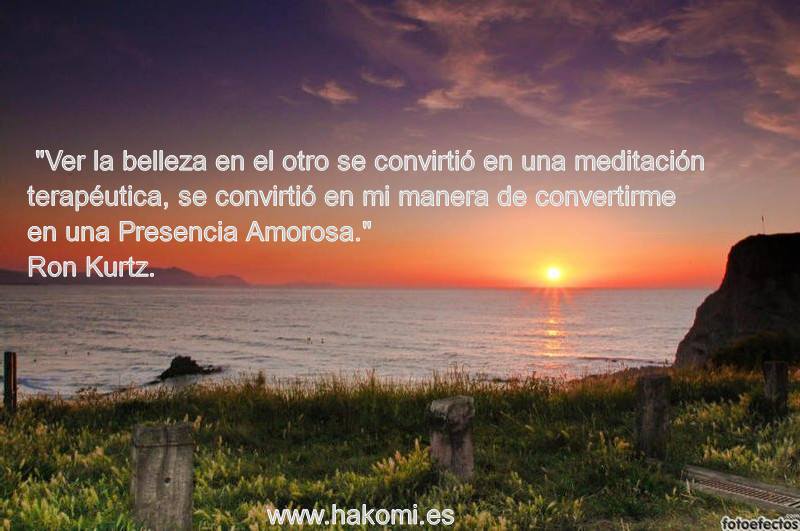 Cómo sucede el sufrimiento y cómo puede ayudar&nbsp;Hakomi